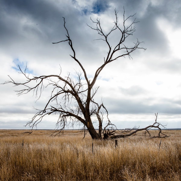 The Mora River Valley Faces a New Battle